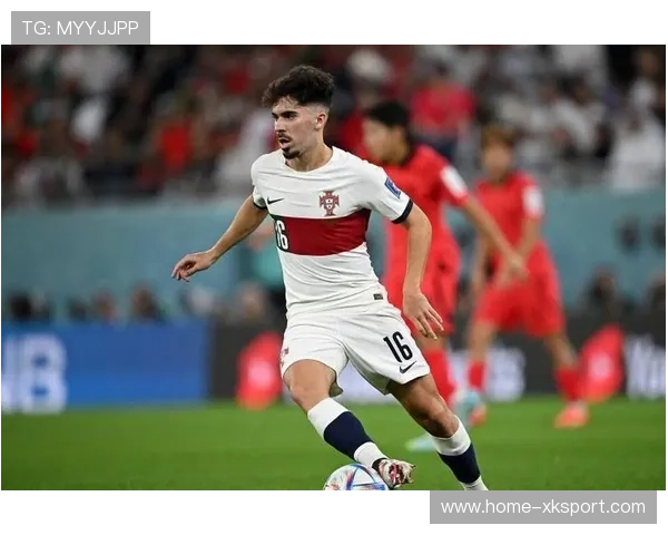 维蒂尼亚组织作用突出