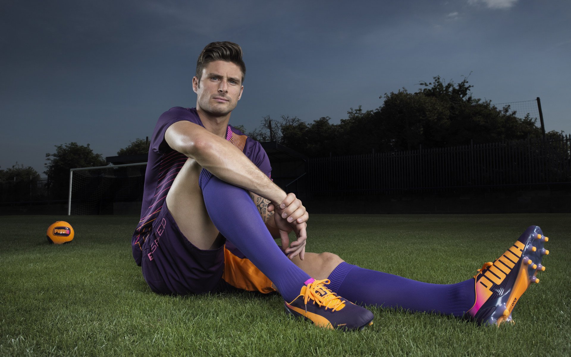 体育赛事投资回报分析